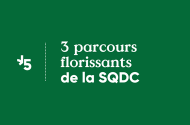 Trois parcours florissants de la SQDC